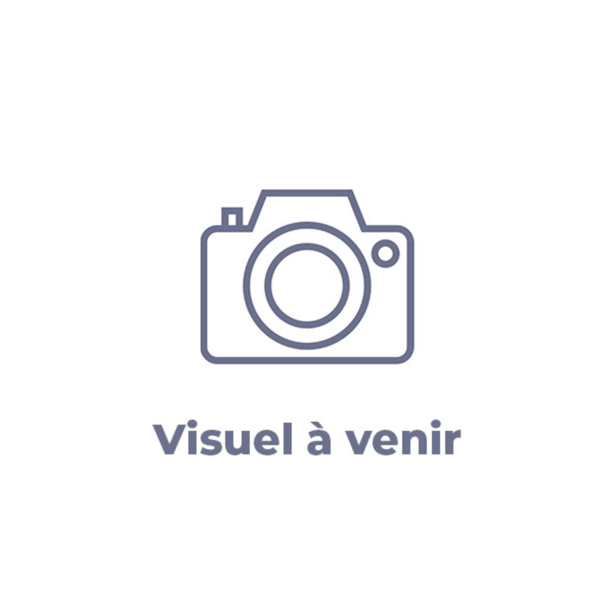 VERNIS CELLULOSIQUE