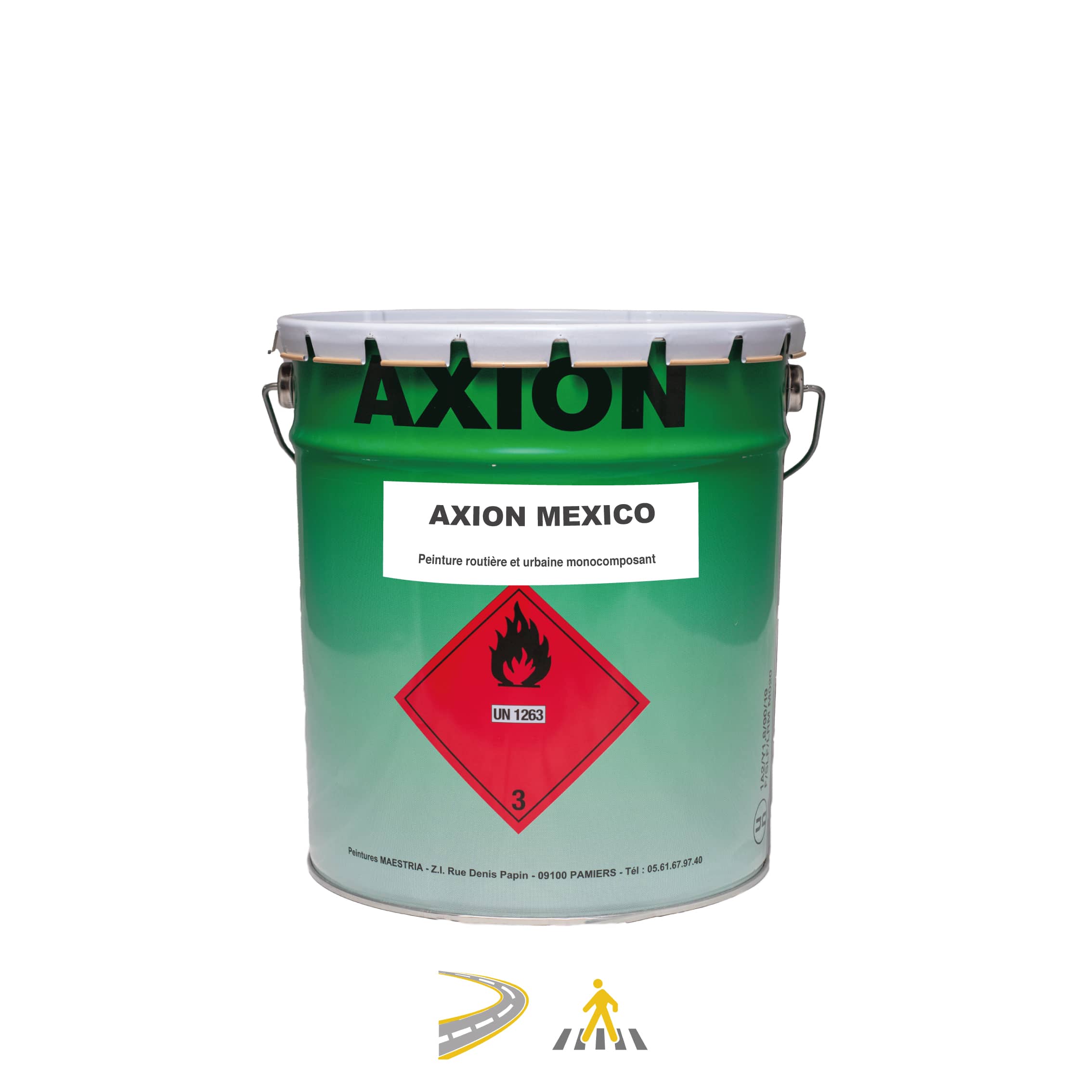 MAESTRIA : AXION MEXICO
